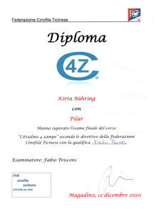 Titel - Diplom